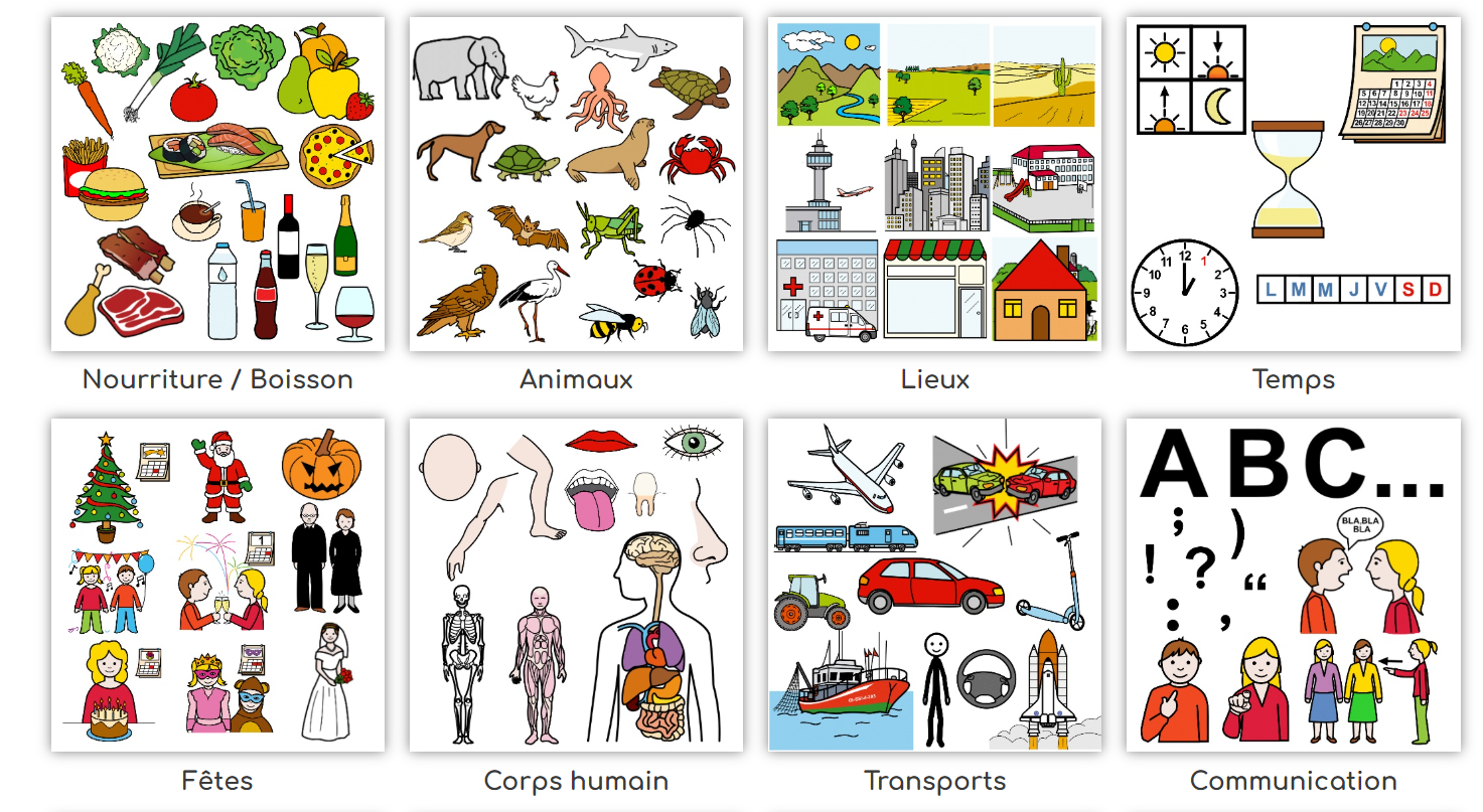 Dictionnaire Visuel LSF