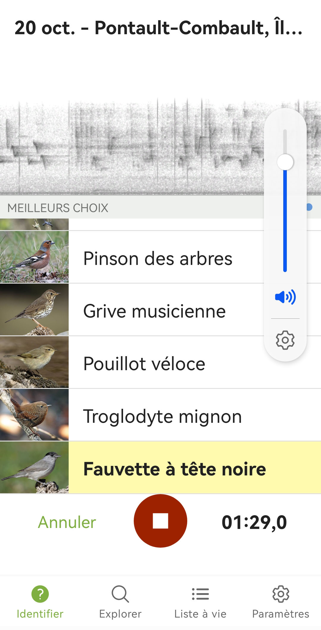 Capture d'&eacute;cran. En haut le sonogramme, en bas, une liste de noms d'oiseaux accompagn&eacute;s de photos.